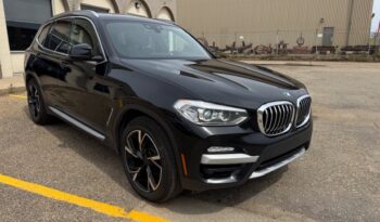2019 BMW X3 xDrive30i Sports Activity Vehicle full