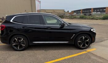 2019 BMW X3 xDrive30i Sports Activity Vehicle full