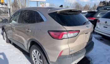 2020 Ford Escape SE AWD full