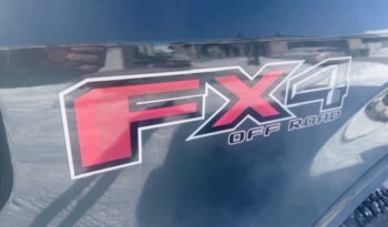 2015 Ford F-150 4WD SuperCrew 145 LARIAT 502A PACKAGE full