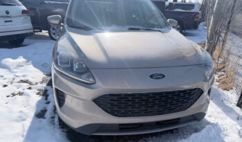 2020 Ford Escape SE AWD full