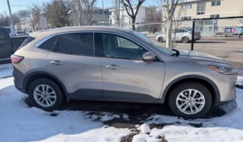 2020 Ford Escape SE AWD full
